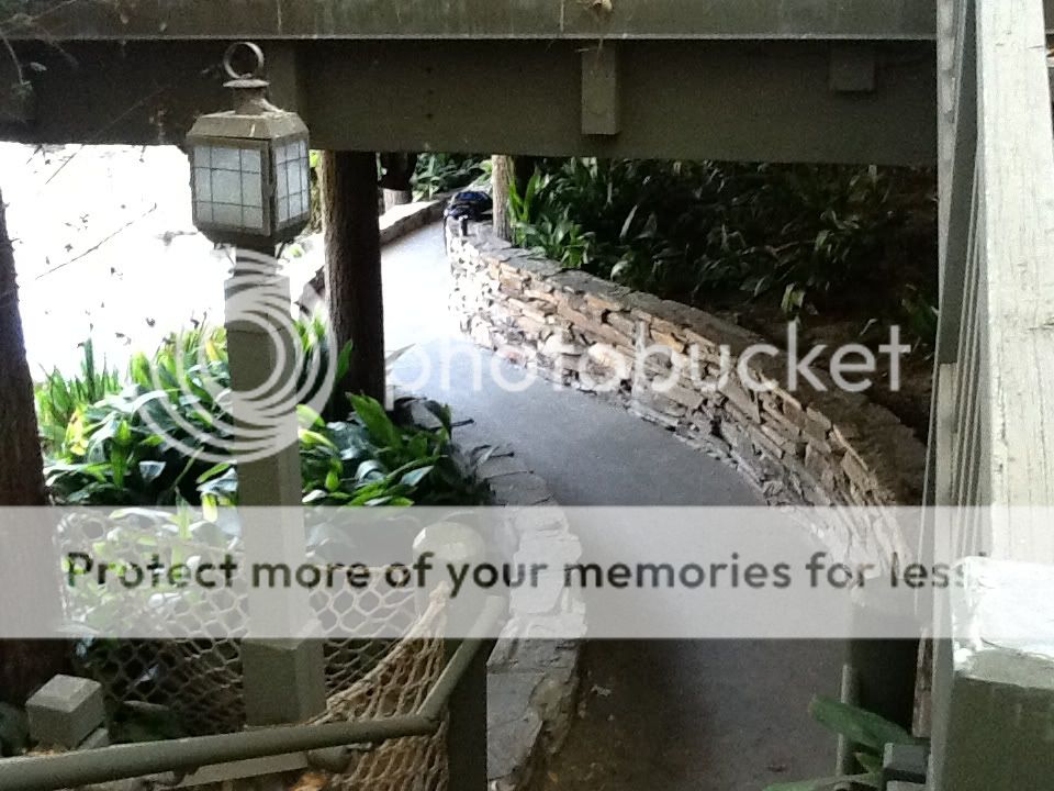 Uploaded from the Photobucket iPad App