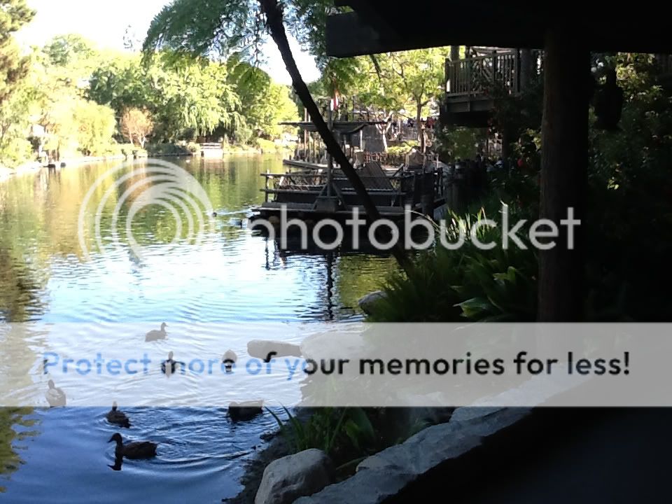 Uploaded from the Photobucket iPad App