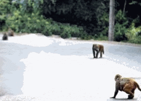 meet indian singles toronto