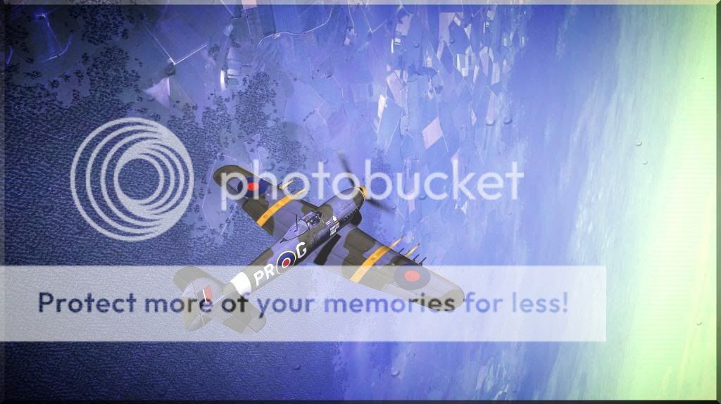 46 46