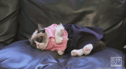 grumpy cat photo: grumpy Grumpy-cat-in-a-dress-1.gif