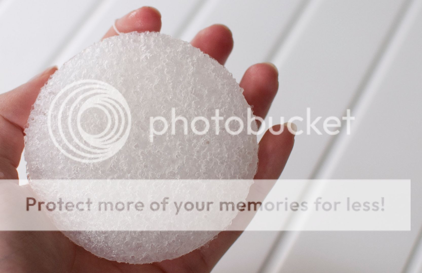 REVIEW KONJAC SPONGES • ZOLEA