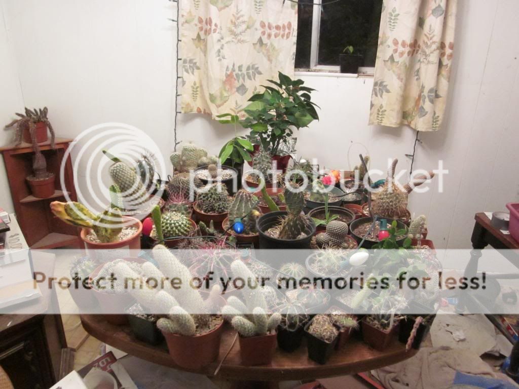 December in Arizona!