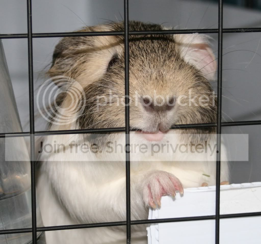 behindbars.jpg